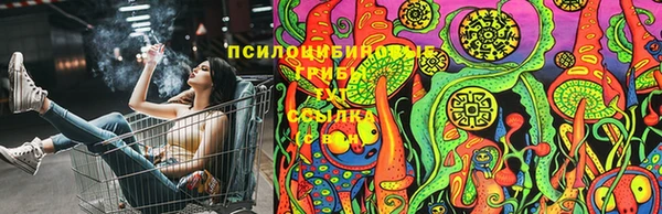 прущие крисы Алексин