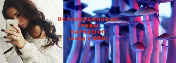 дмт Алзамай