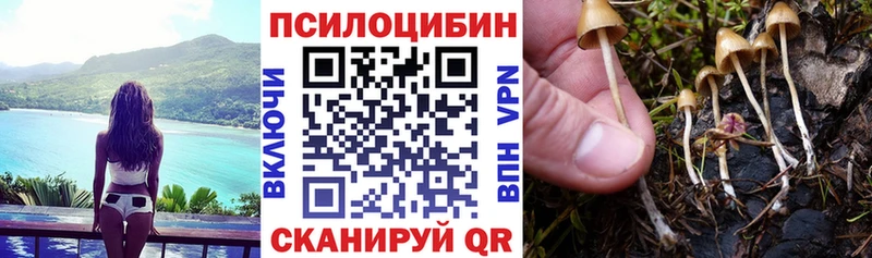 даркнет сайт  ссылка на мегу ссылка  Псилоцибиновые грибы Cubensis  Николаевск 